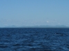 IMAGE0043.JPG