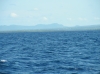 IMAGE0044.JPG