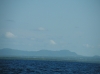 IMAGE0045.JPG