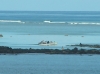 IMAGE0001.JPG