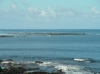 IMAGE0002.JPG