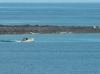 IMAGE0003.JPG