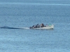 IMAGE0004.JPG