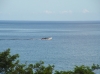 IMAGE0011.JPG